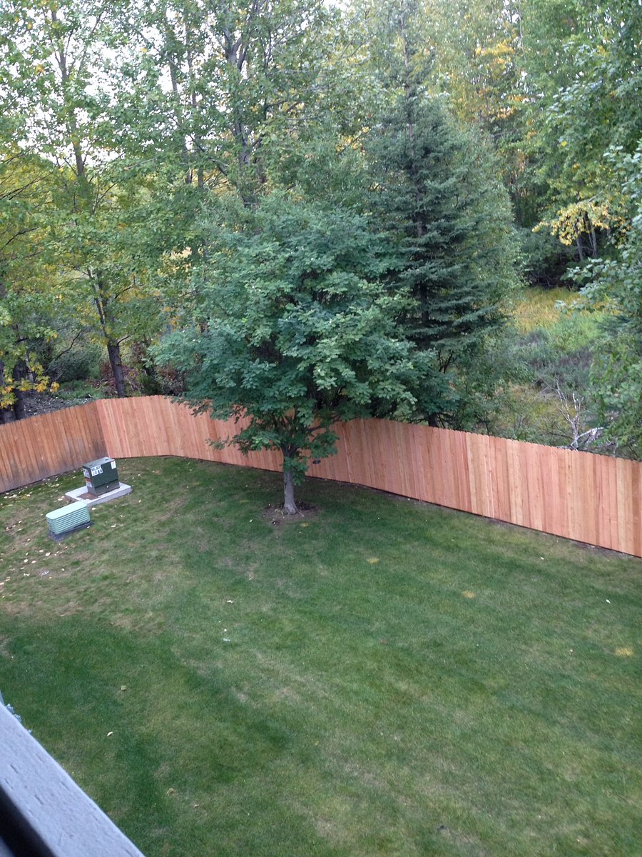 View of backyard common area