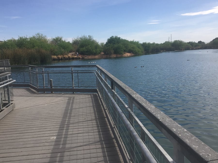 The main pond at the 7-pond Gilbert Riparian Water Park 5 miles away