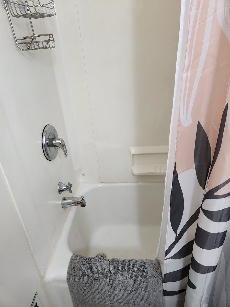 Full-sized Shower & Large Vintage Bathtub
