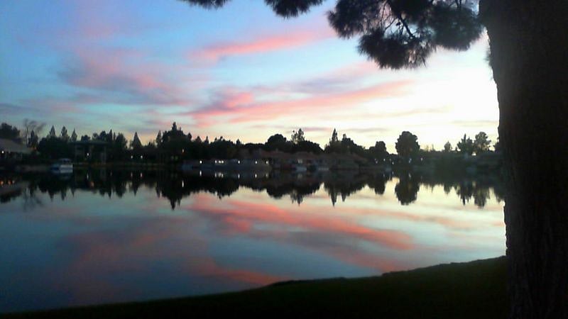 View from patio
