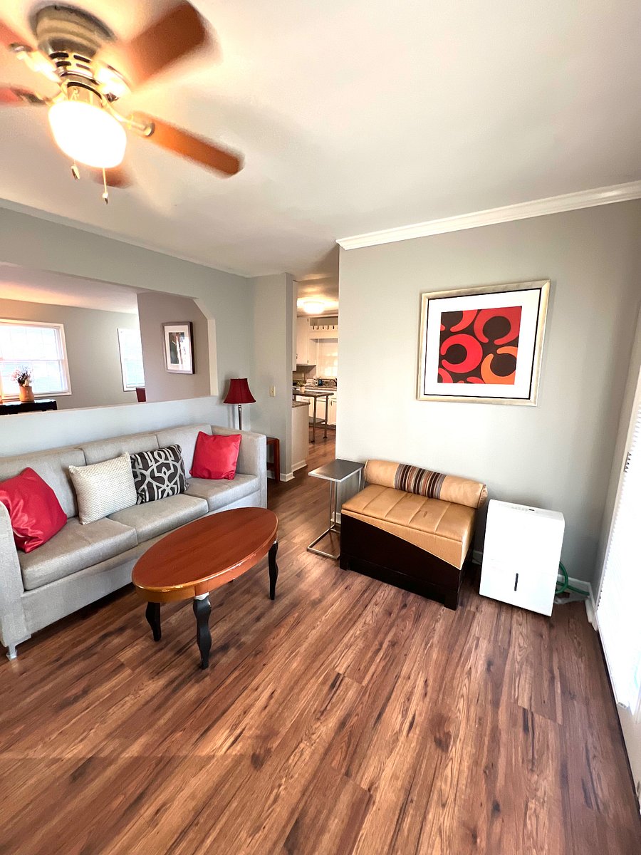 Furnished Finder property 399620_1 photo 5