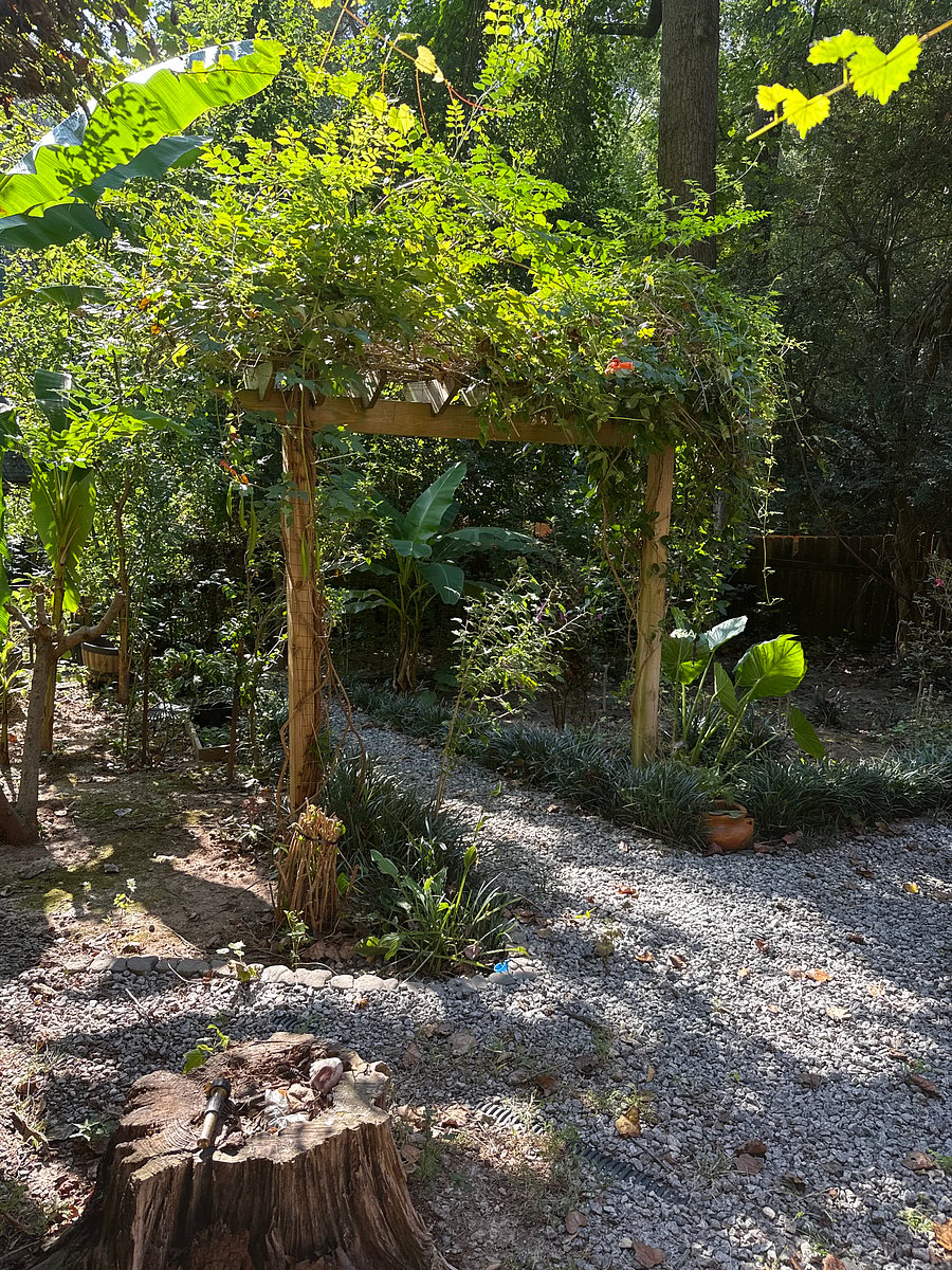 Furnished Finder property 399822_1 photo 13