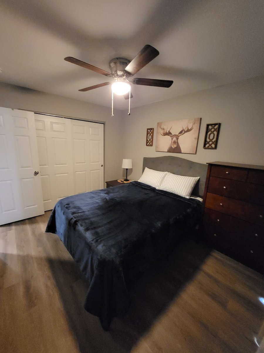 Furnished Finder property 399967_9 photo 5