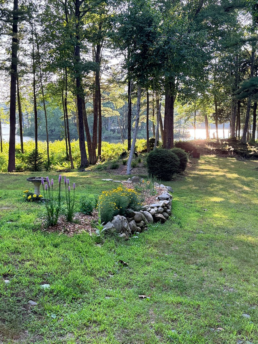 Furnished Finder property 400270_1 photo 40