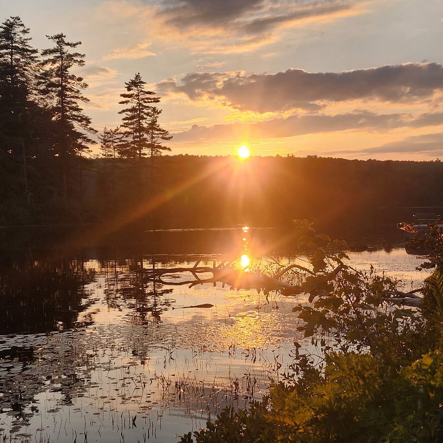Sunset over pond