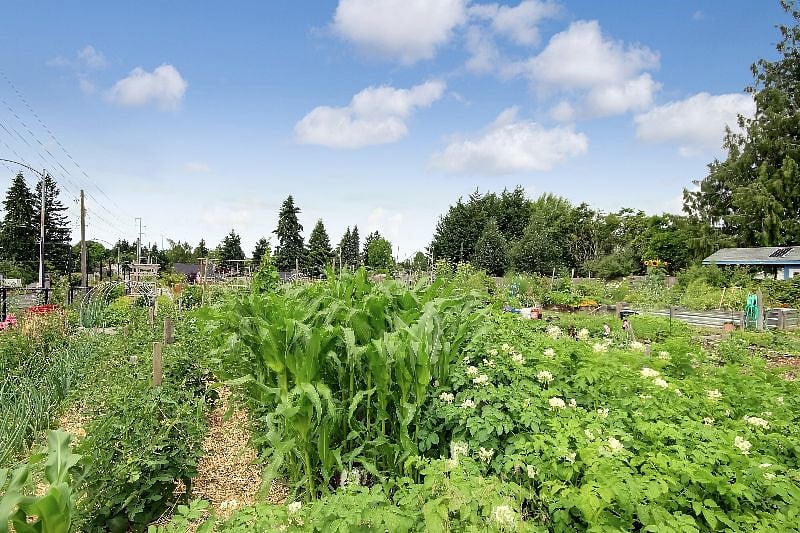 North Proctor Community Garden