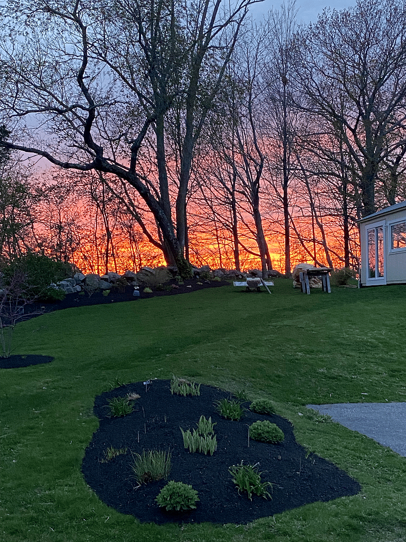 Beautiful sunset over the backyard