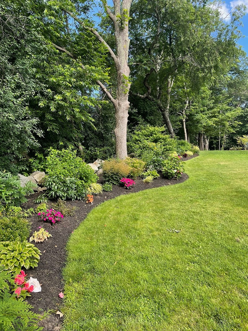Beautiful garden beds