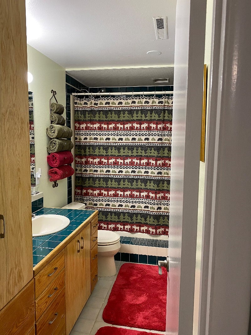 Furnished Finder property 400472_1 photo 10