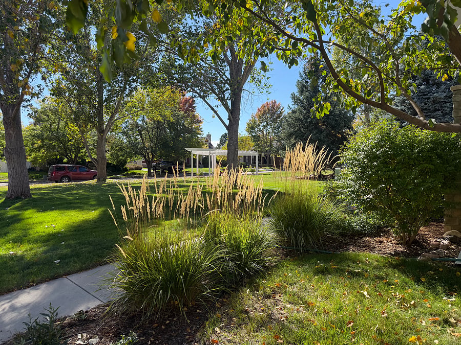 Furnished Finder property 400669_1 photo 14