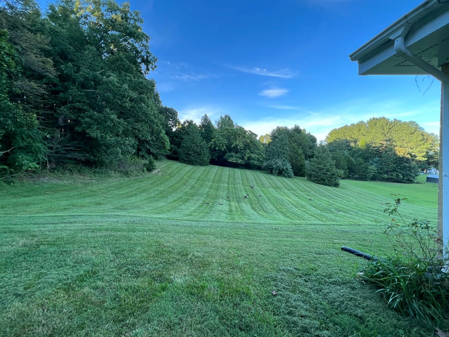Furnished Finder property 401131_1 photo 18