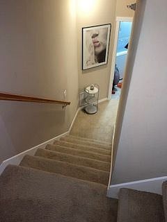 Furnished Finder property 401142_1 photo 10