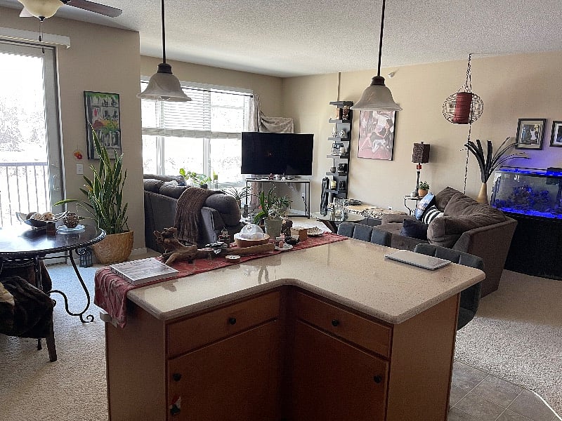 Furnished Finder property 401142_1 photo 4