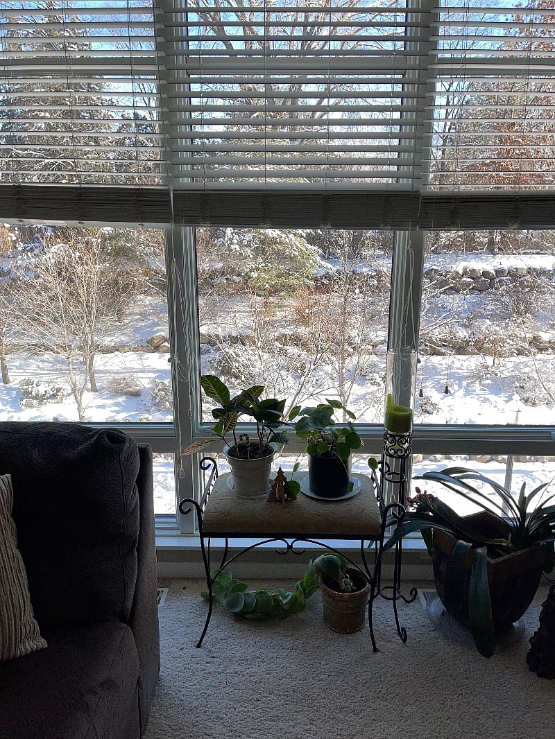 Furnished Finder property 401142_1 photo 6