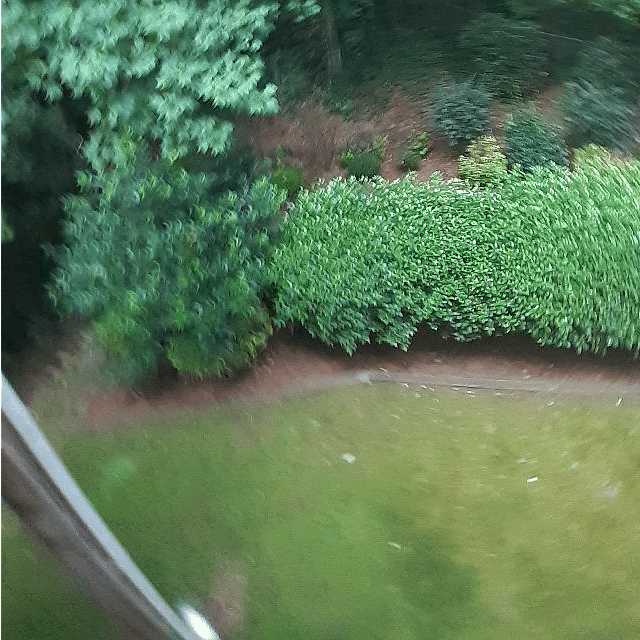 View from the top deck.