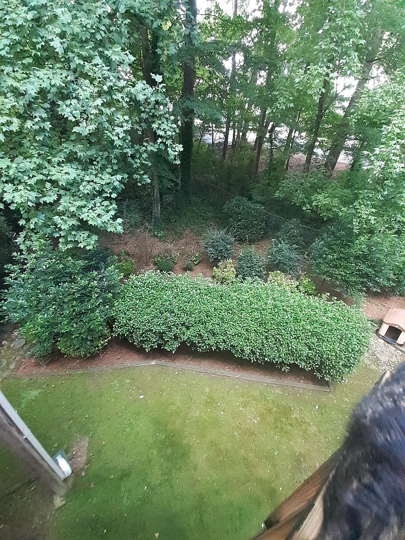 View from the top deck.
