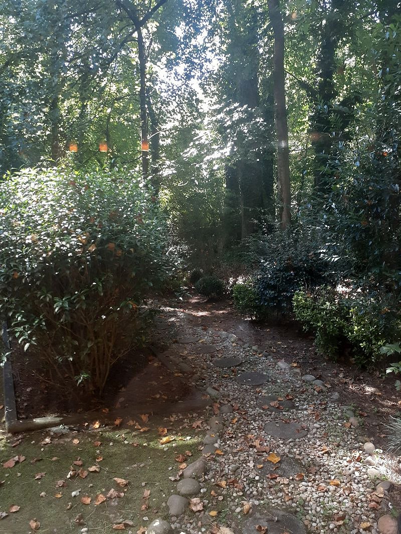 Backyard is is a shared area.