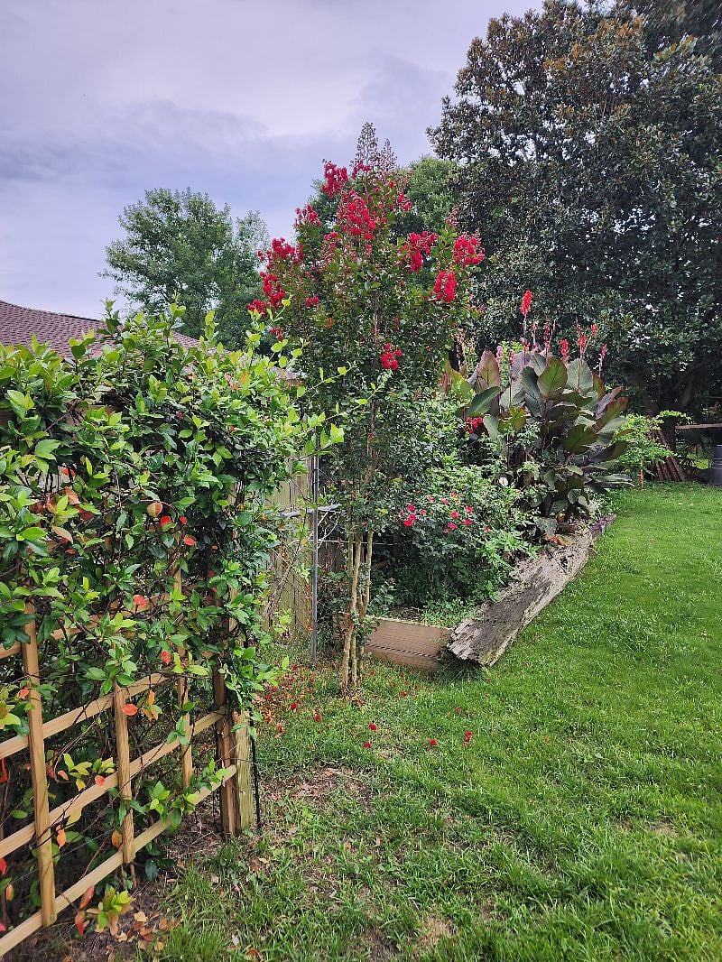 Furnished Finder property 401559_1 photo 12