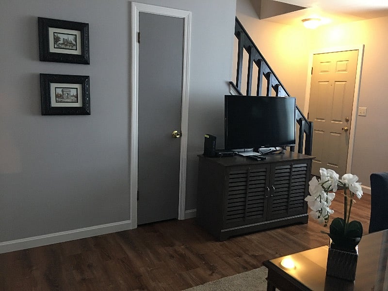 Living Room with Smart Television and storage closet.