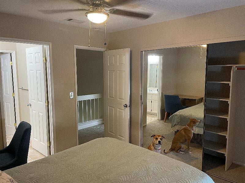 Furnished Finder property 401839_1 photo 15