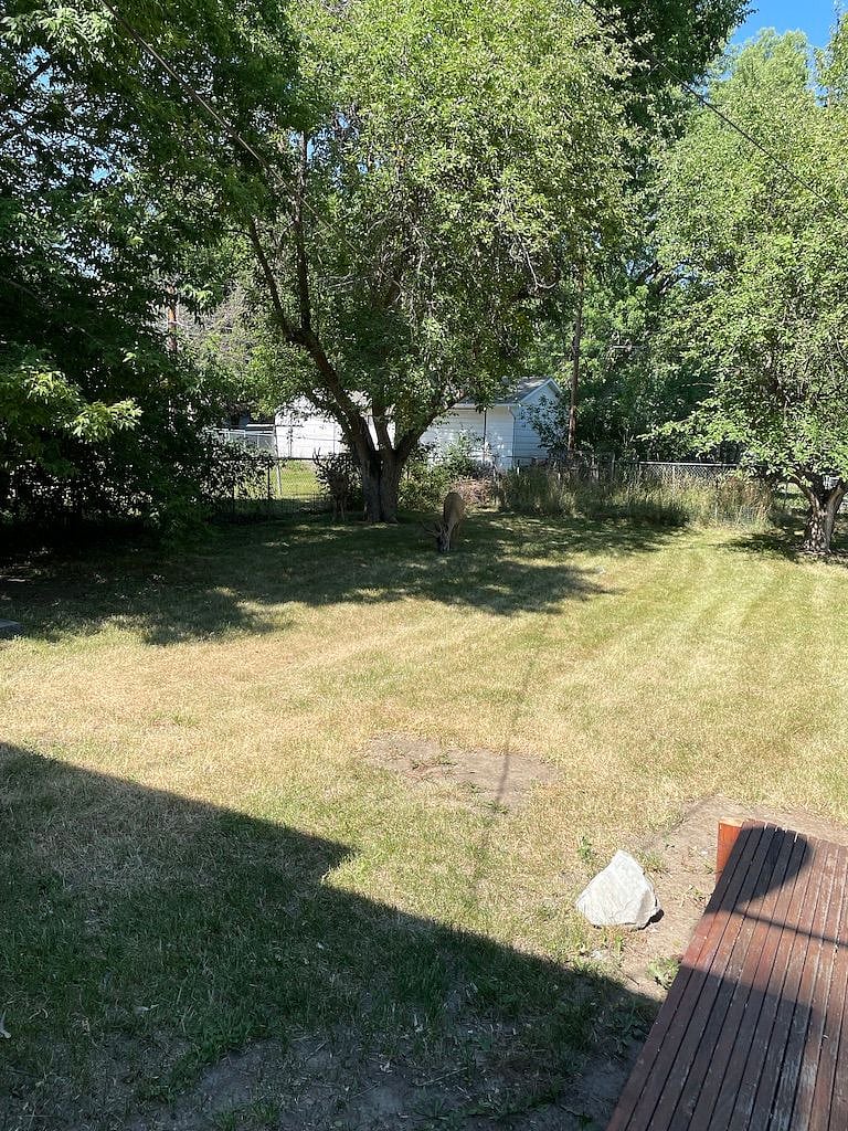 Lovely quiet, private back yard with lots of shade