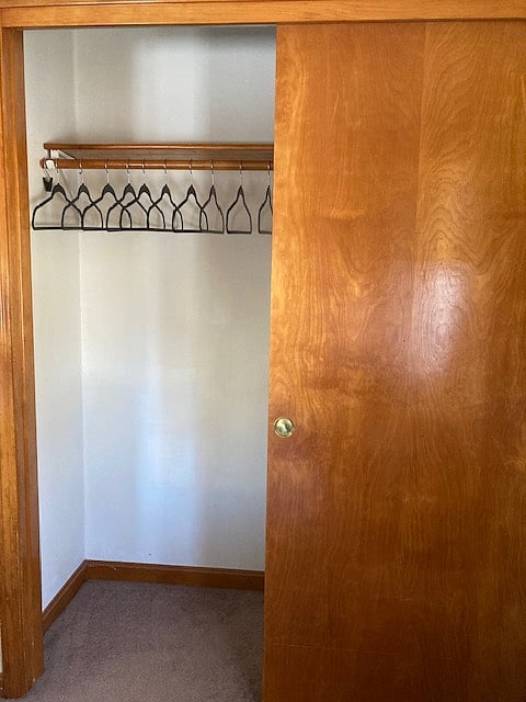 Large Double Closet and shelf in Bedroom .