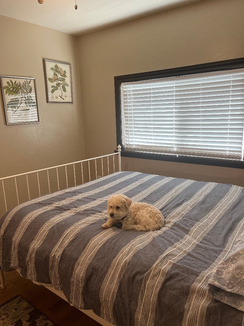 Furnished Finder property 402025_1 photo 11