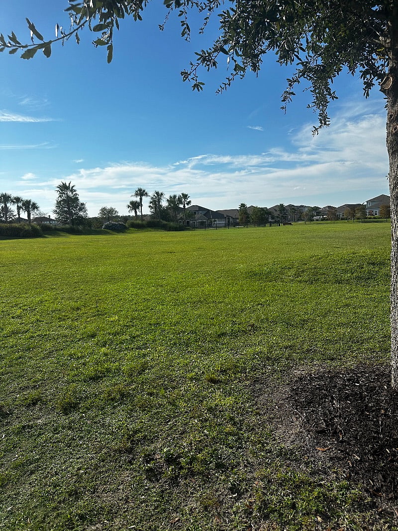 Furnished Finder property 402029_1 photo 22