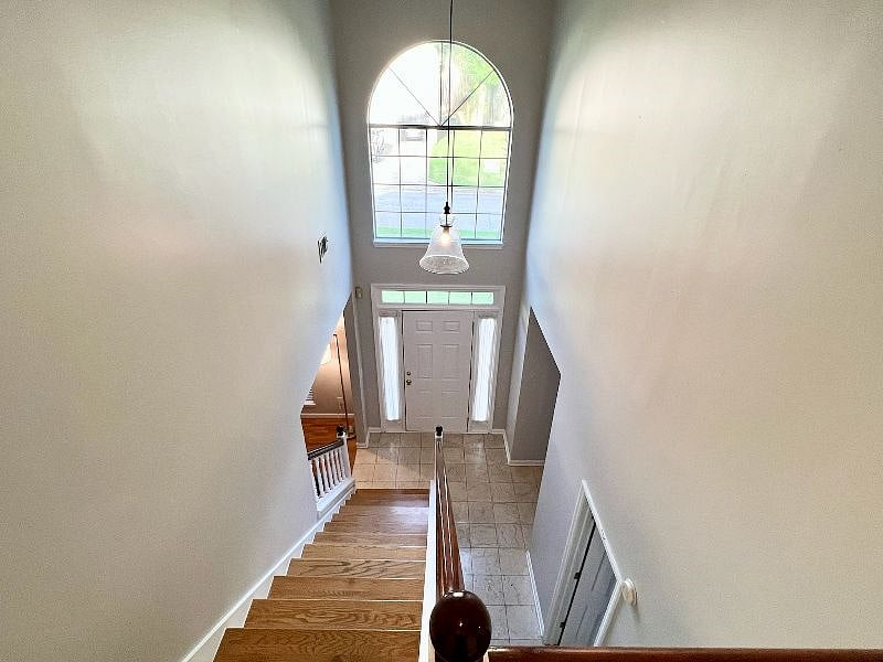 Furnished Finder property 402088_1 photo 18