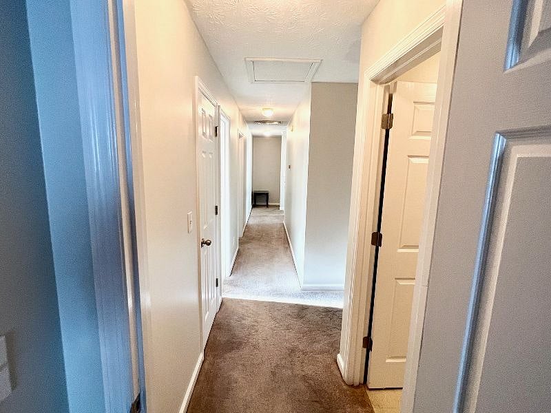Furnished Finder property 402088_1 photo 17