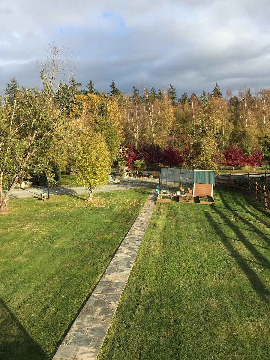 shared gardens with firepit