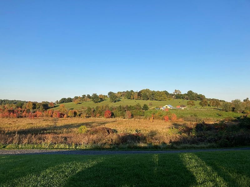 View from one of the restaurants along Main St. of Gibbet Hill, where the proposal scene from Little Women (2019) was filmed.