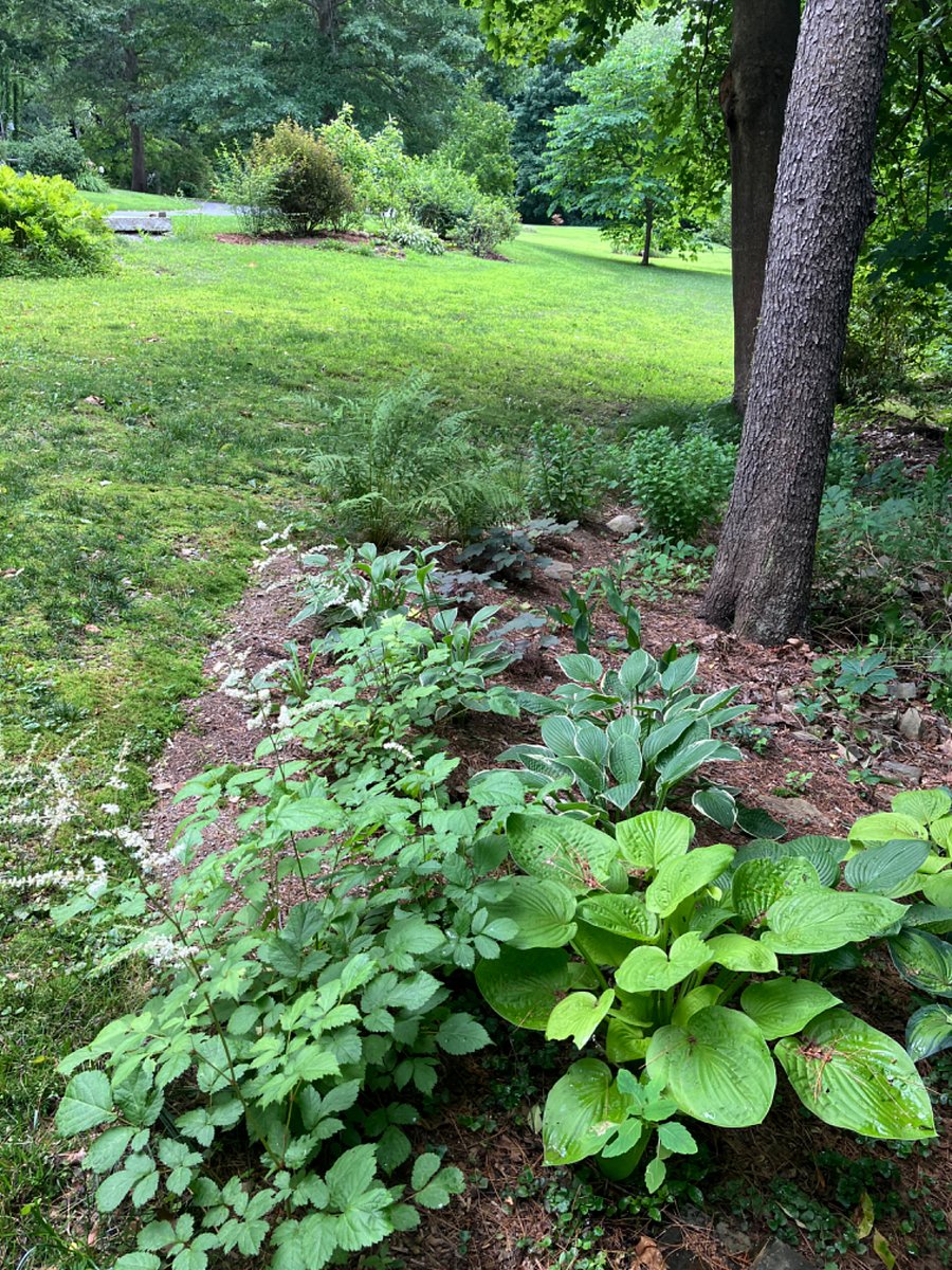 Private front and back yards for tenant