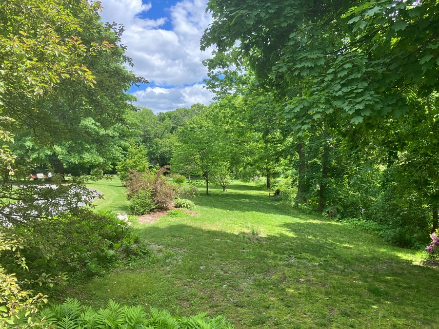 This is the tenant's front yard.