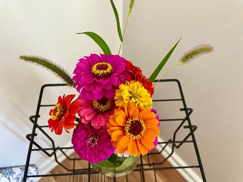 Zinnias from the garden...help yourself!