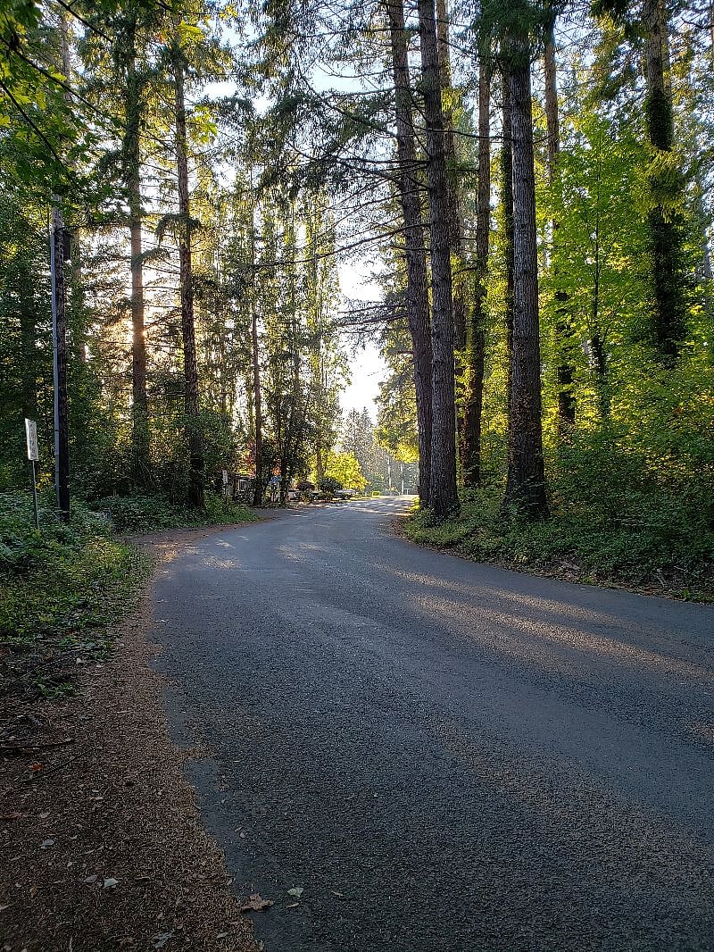 Belfair State Park in walking distance from the house