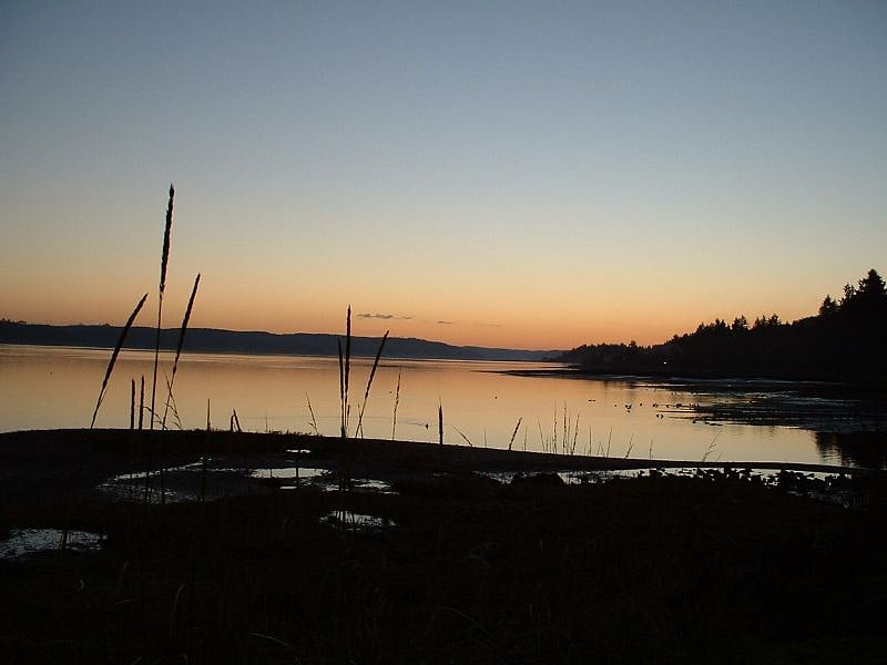 more of Belfair State Park