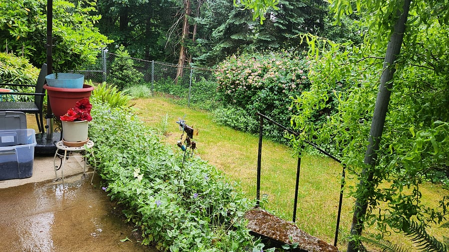 more front yard