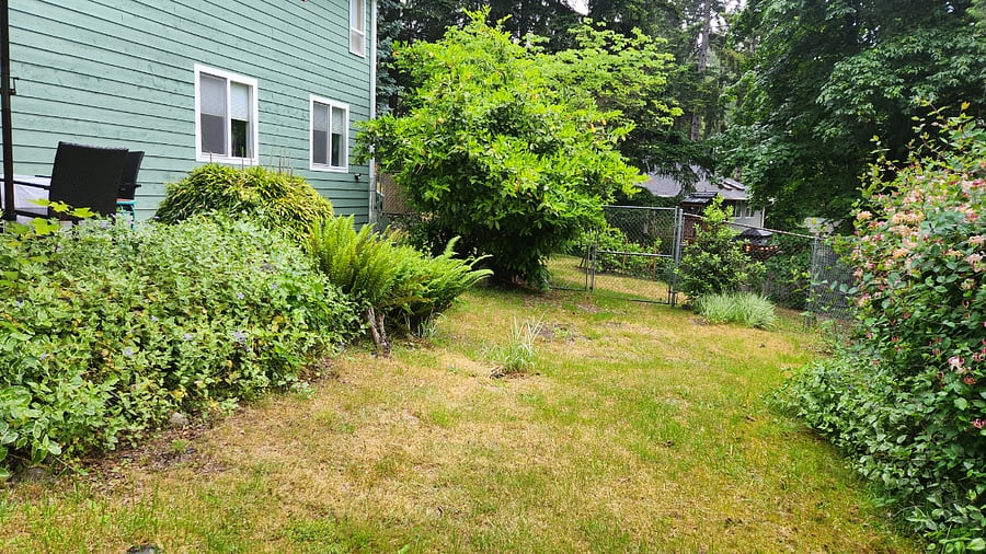 front yard