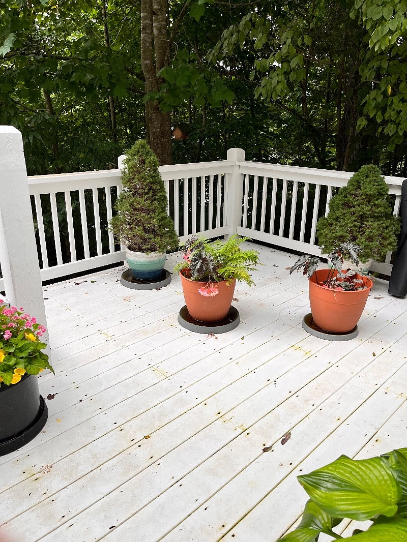Furnished Finder property 402758_1 photo 18