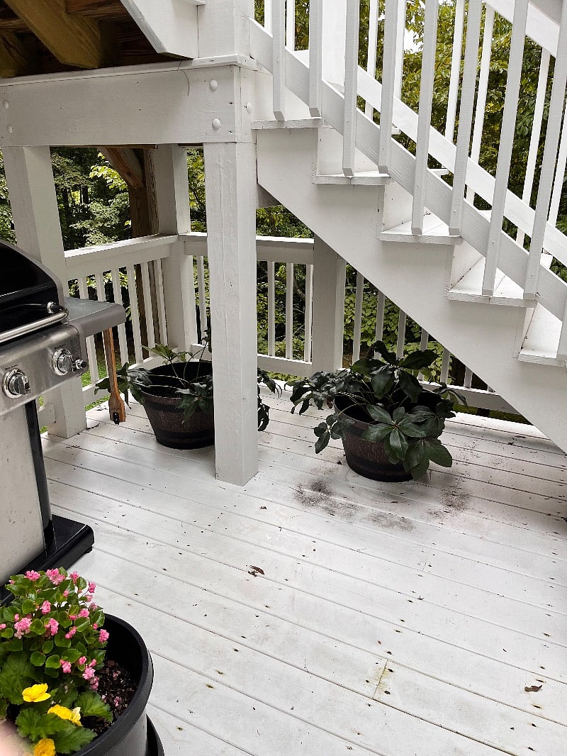Furnished Finder property 402758_1 photo 20