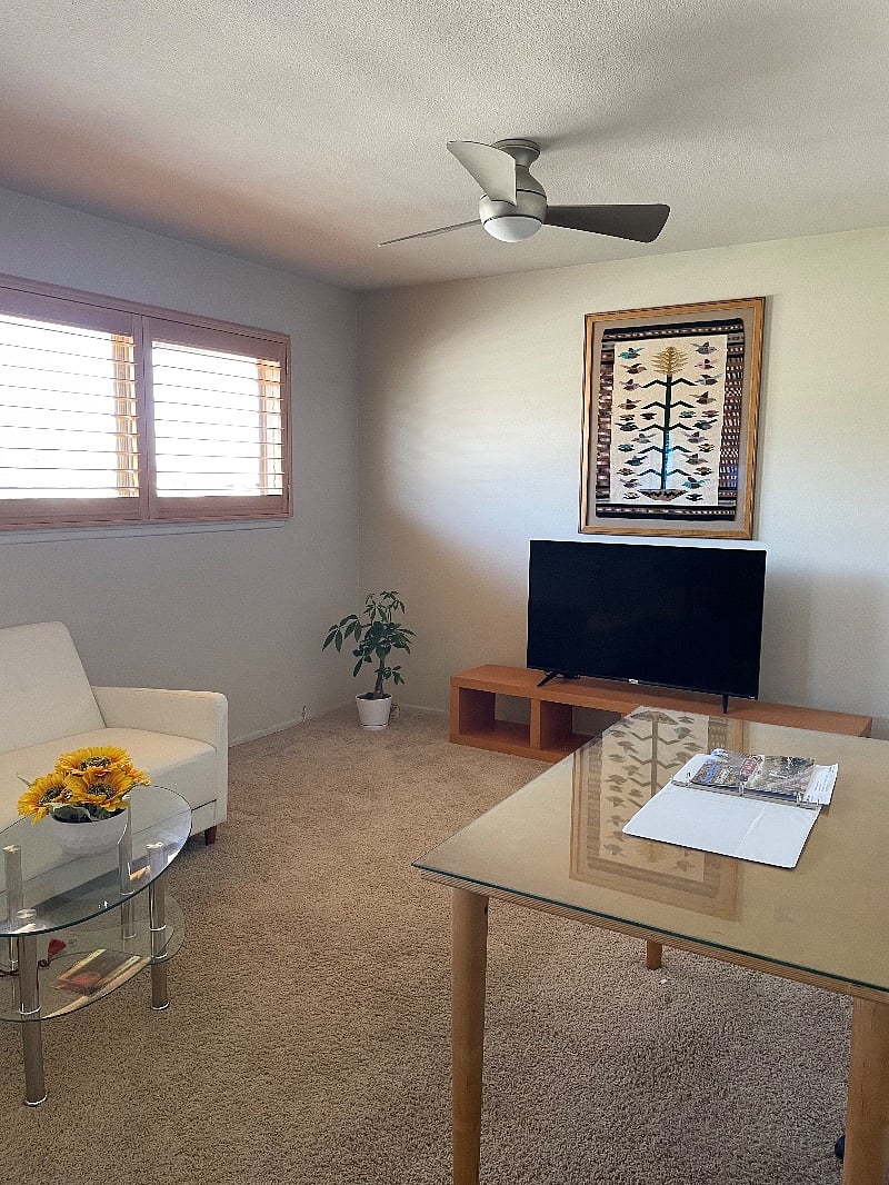 Love seat, desk and 40'' TV