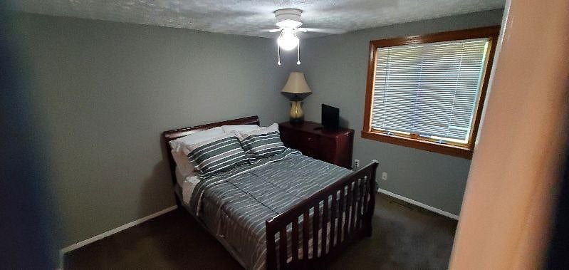 Furnished Finder property 402995_1 photo 8