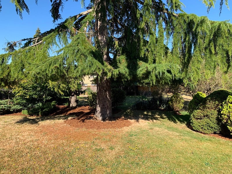 Furnished Finder property 403077_1 photo 15