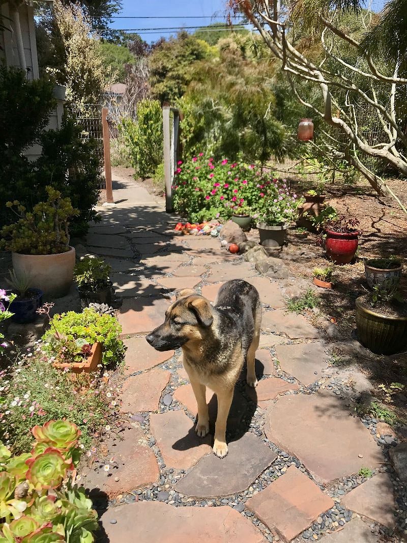 queen of her jungle!