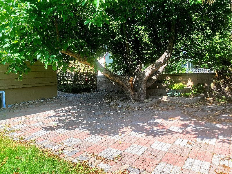 Back Patio