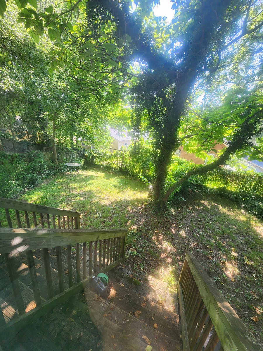 Furnished Finder property 403327_1 photo 15