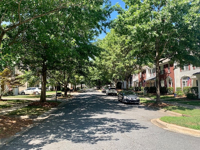 Quiet End of Tree Lined Street