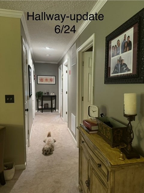 Furnished Finder property 403404_1 photo 12