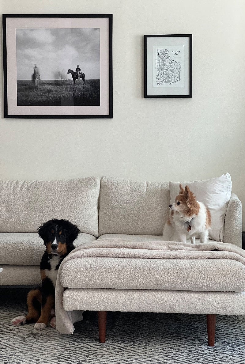 Pet Friendly!!